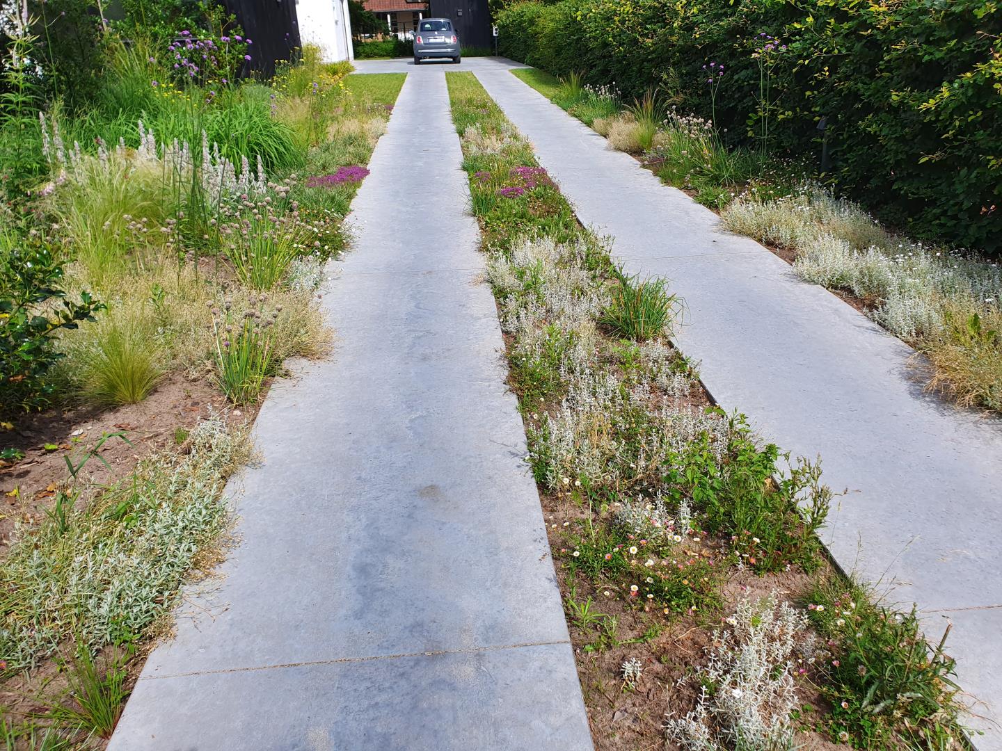 Karrenspoor met natuurlijke beplanting